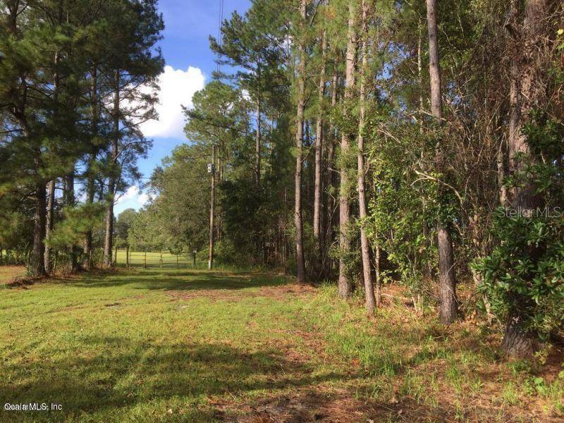 Palatka, FL 32177,00 Dusty LN