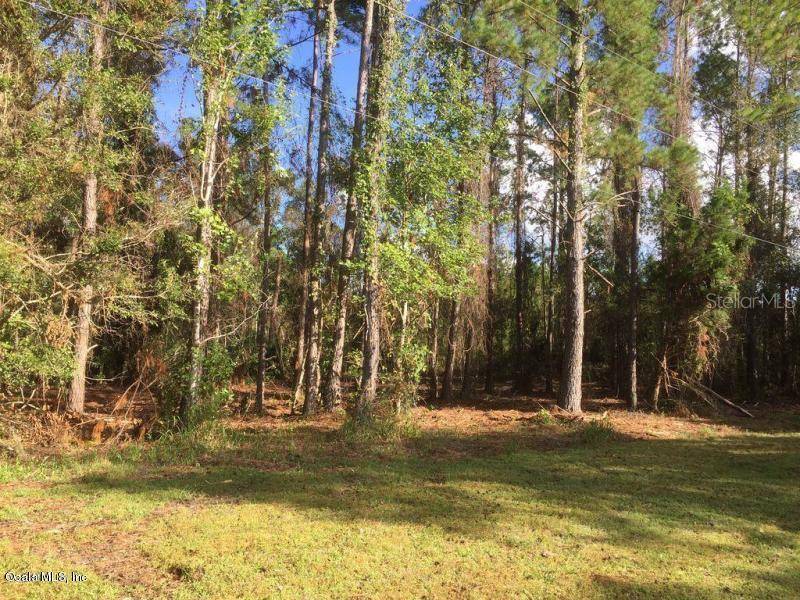 Palatka, FL 32177,00 Dusty LN