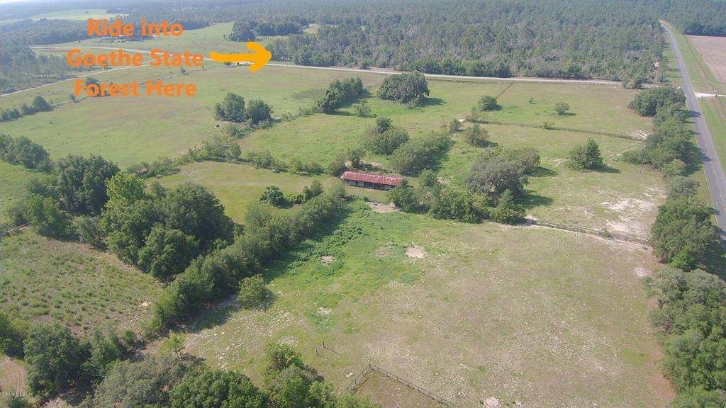 Bronson, FL 32621,3253 NE County Road 337