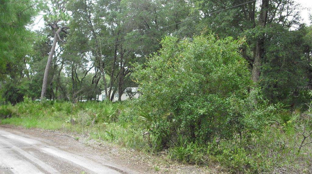 Dunnellon, FL 34432,0 SW 157 LN