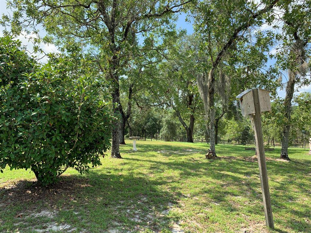 Morriston, FL 32668,14650 SE 23RD PL