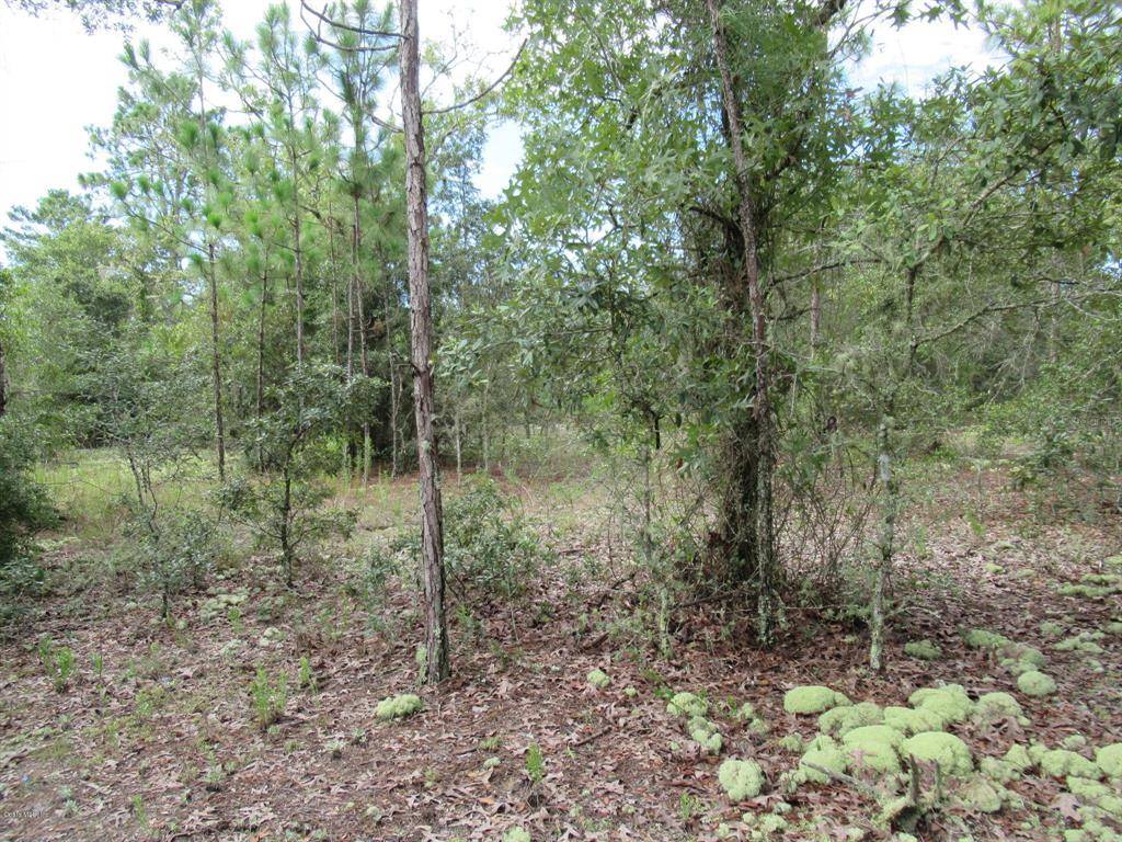 Dunnellon, FL 34431,0 SW Marine BLVD