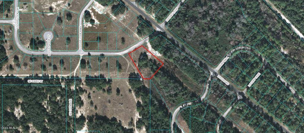 Ocala, FL 34472,TBD LOCUST LOOP CIR