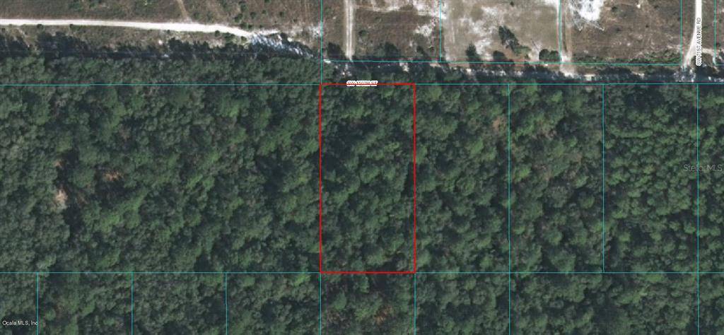 Dunnellon, FL 34432,0 SW 150 ST