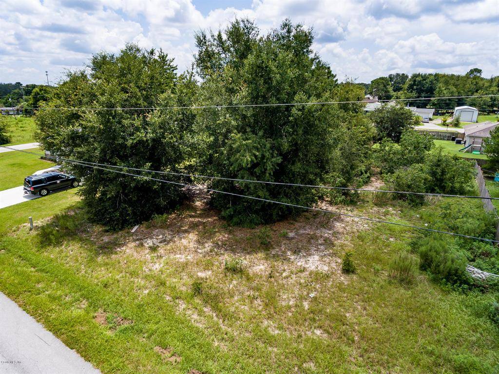 Summerfield, FL 34491,TBD SE 162nd PL