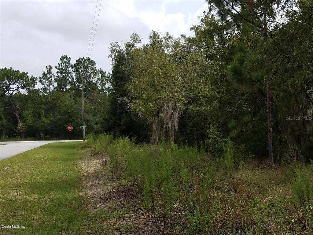 Dunnellon, FL 34431,0 SW Marigold CT