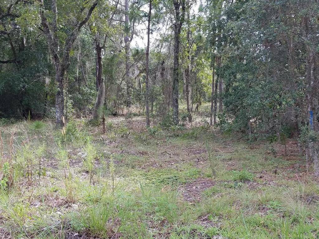 Dunnellon, FL 34431,0 SW Marigold CT