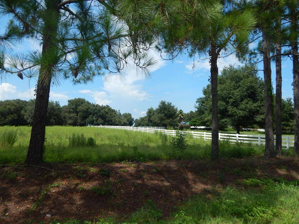 Morriston, FL 32668,TBD SE 66th PL