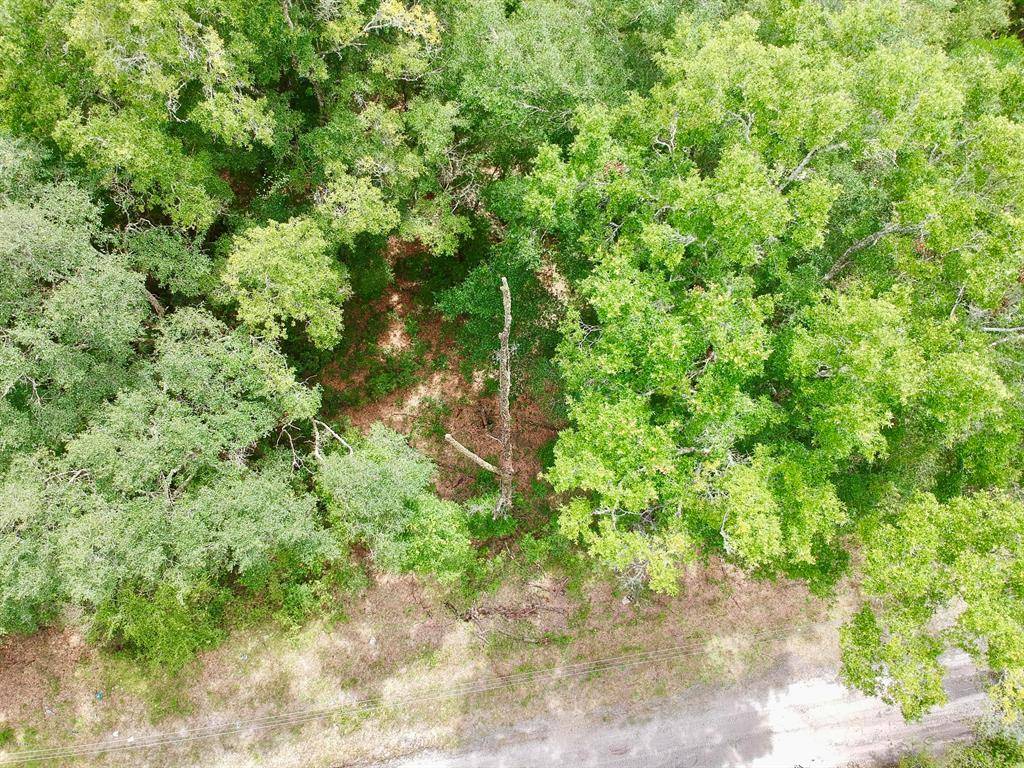 Dunnellon, FL 34432,TBD SW 152nd PL