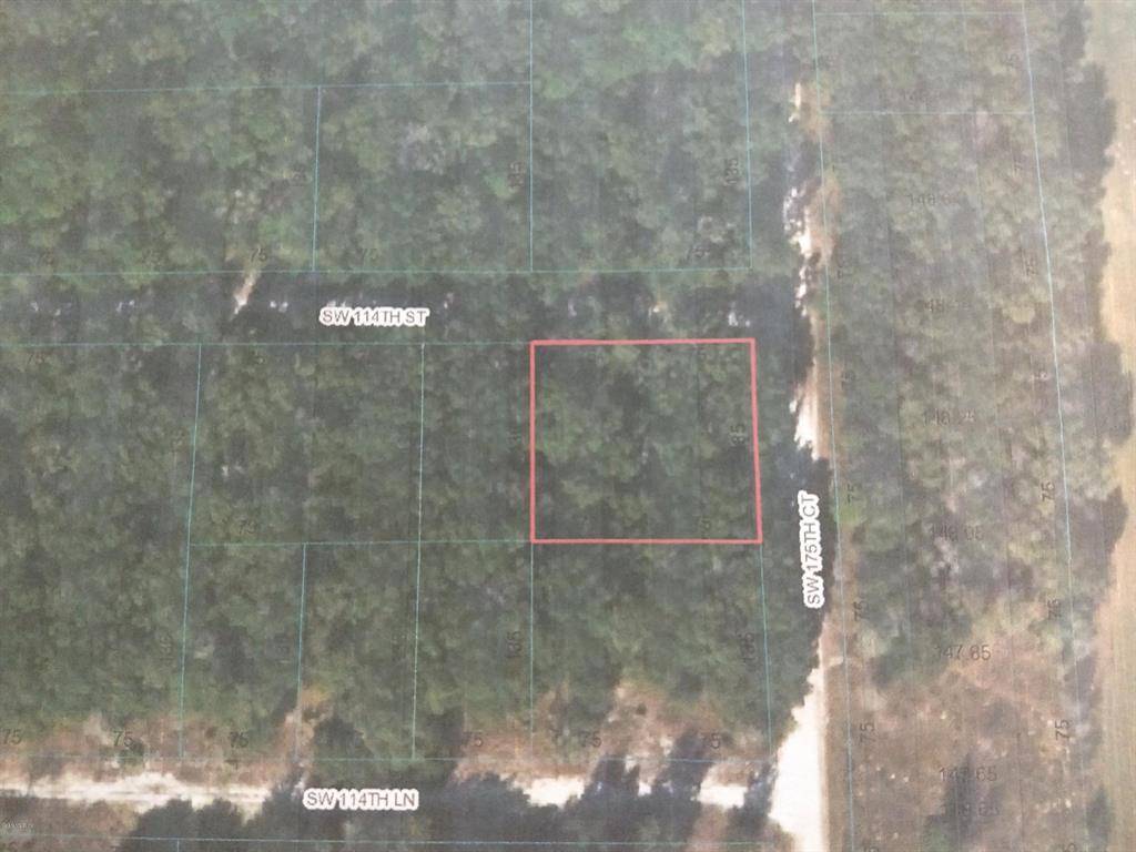 Dunnellon, FL 34432,00 SW 114th ST