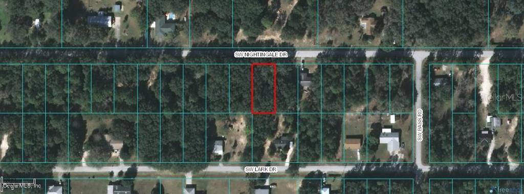 Dunnellon, FL 34431,TBD SW Nightingale DR