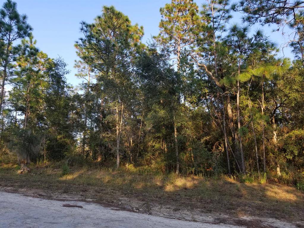 Morriston, FL 32668,TBD SE 145 TER