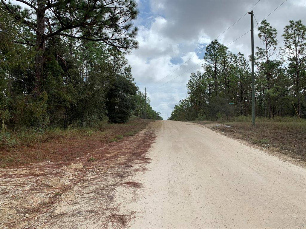 Morriston, FL 32668,TBD SE 21ST PL