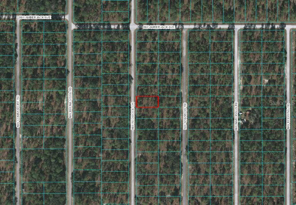 Dunnellon, FL 34431,00 NW Redwood Drive