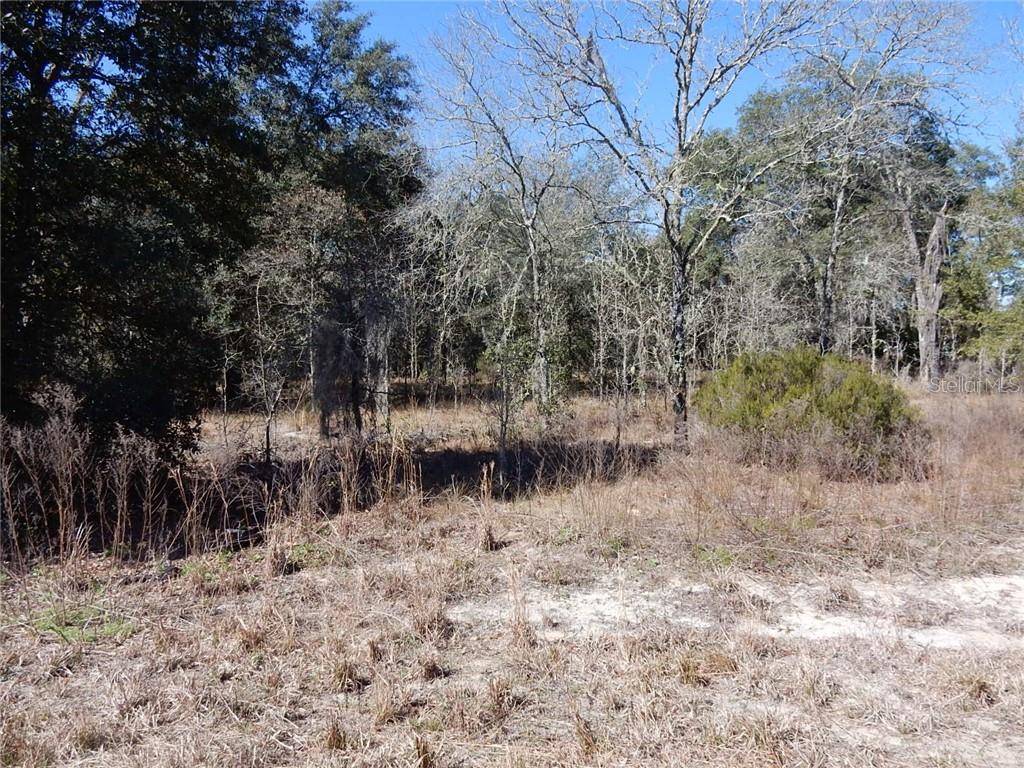 Williston, FL 32696,TBD NE 125th CT