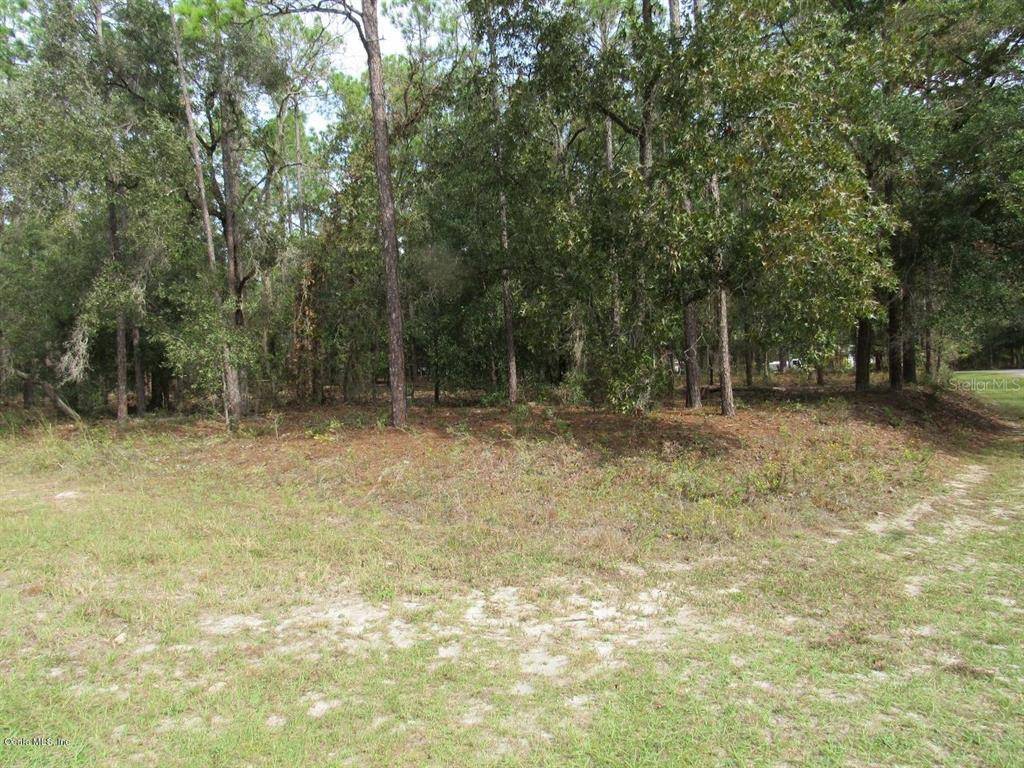 Dunnellon, FL 34431,TBD SW 217th Court RD