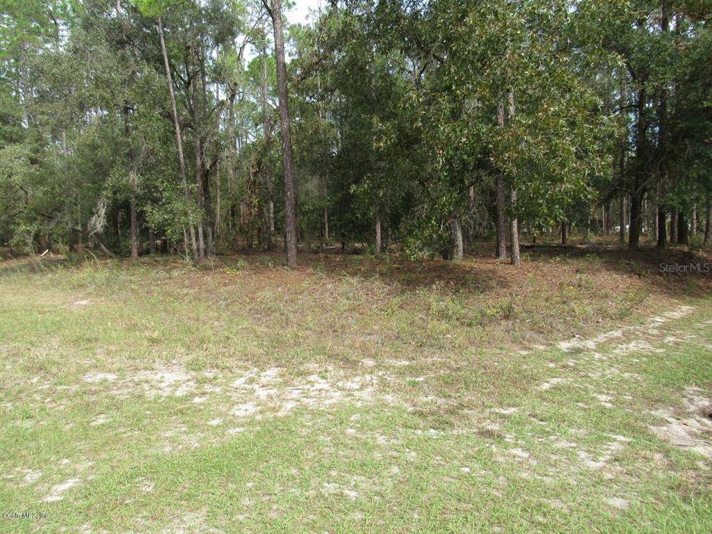 Dunnellon, FL 34431,TBD SW 217th Court RD