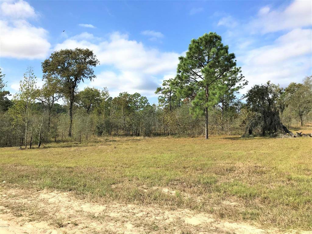 Morriston, FL 32668,TBD SE 140th AVE