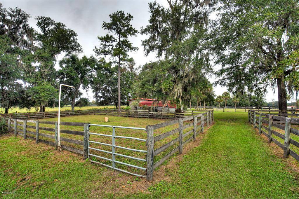 Reddick, FL 32686,9480 W Hwy 316