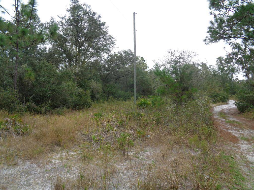 Dunnellon, FL 34432,0 SW 158th LN