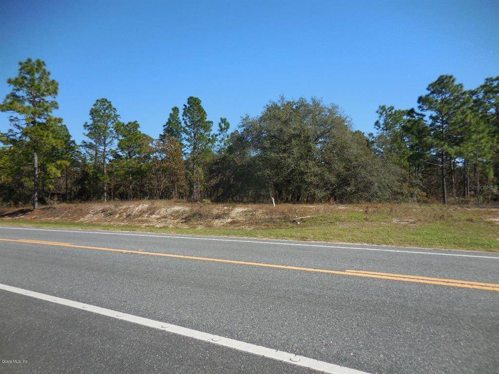 Morriston, FL 32668,2041 SE State Road 121