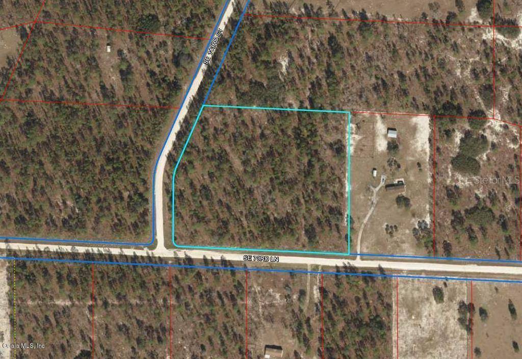 Morriston, FL 32668,TBD SE 143rd CT