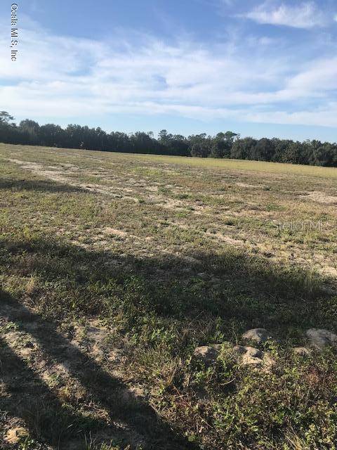 Weirsdale, FL 32195,TBD SE 156th Place RD