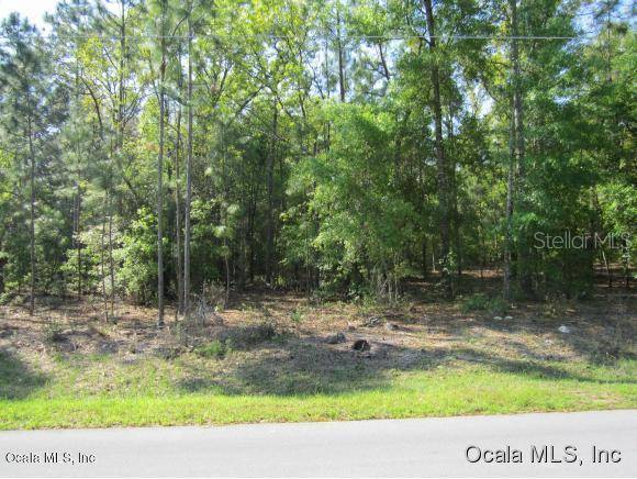 Summerfield, FL 34491,TBD SE 160th PL