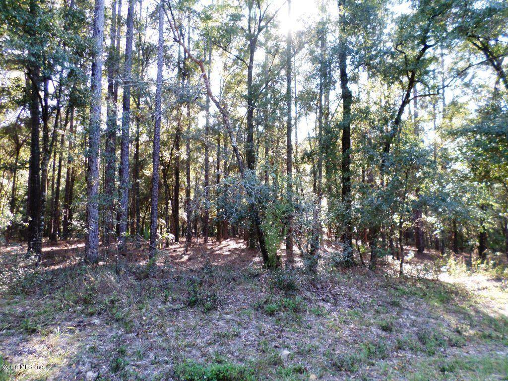 Dunnellon, FL 34432,Lot 5 SW 185th CIR