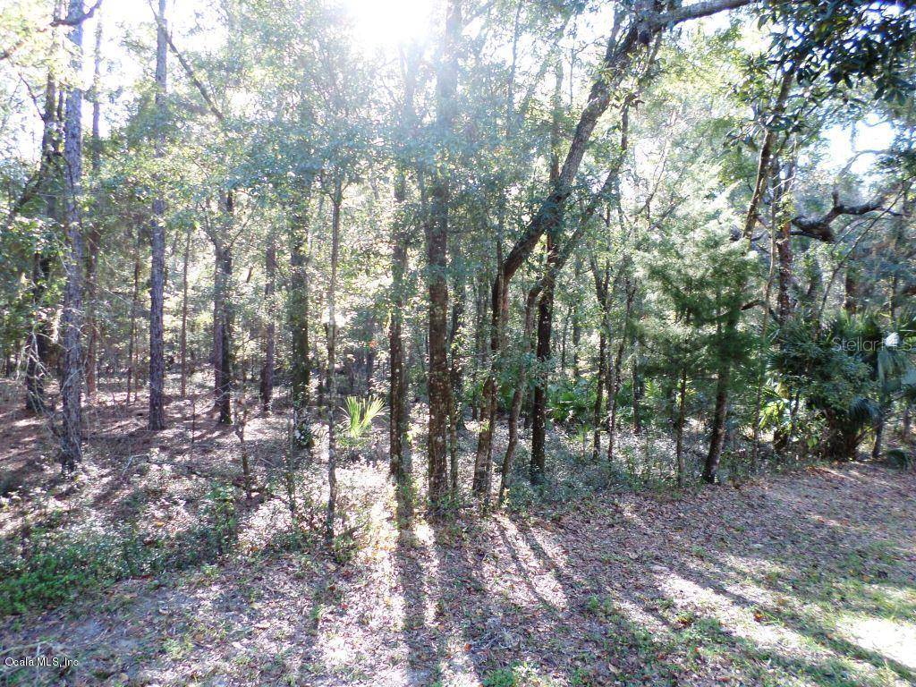 Dunnellon, FL 34432,Lot 5 SW 185th CIR