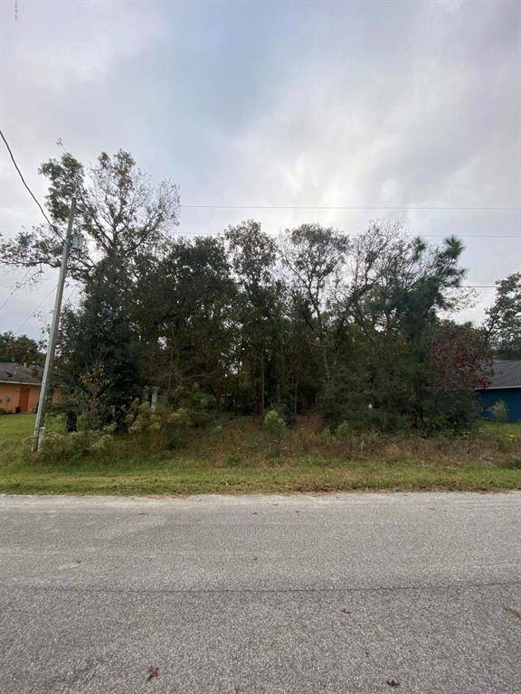 Summerfield, FL 34491,TBD SE 159th PL