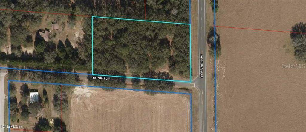 Morriston, FL 32668,Lot 1 - 00 SE 70th LN