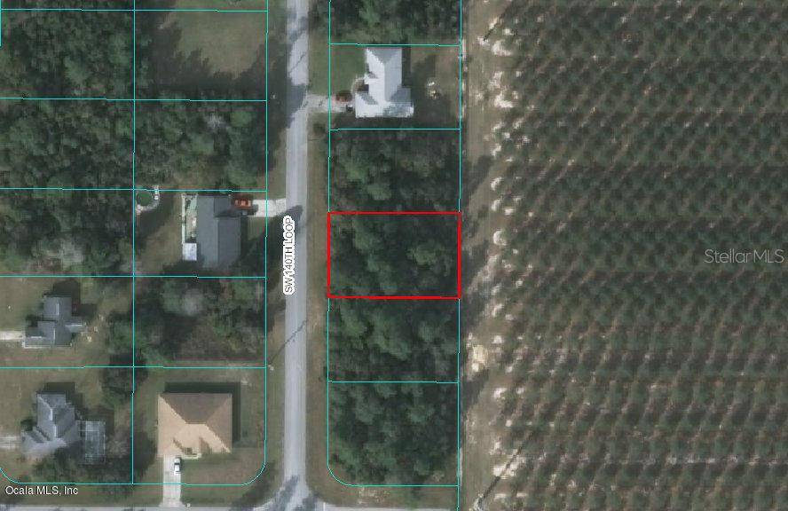 Ocala, FL 34473,TBD SW 140 LOOP