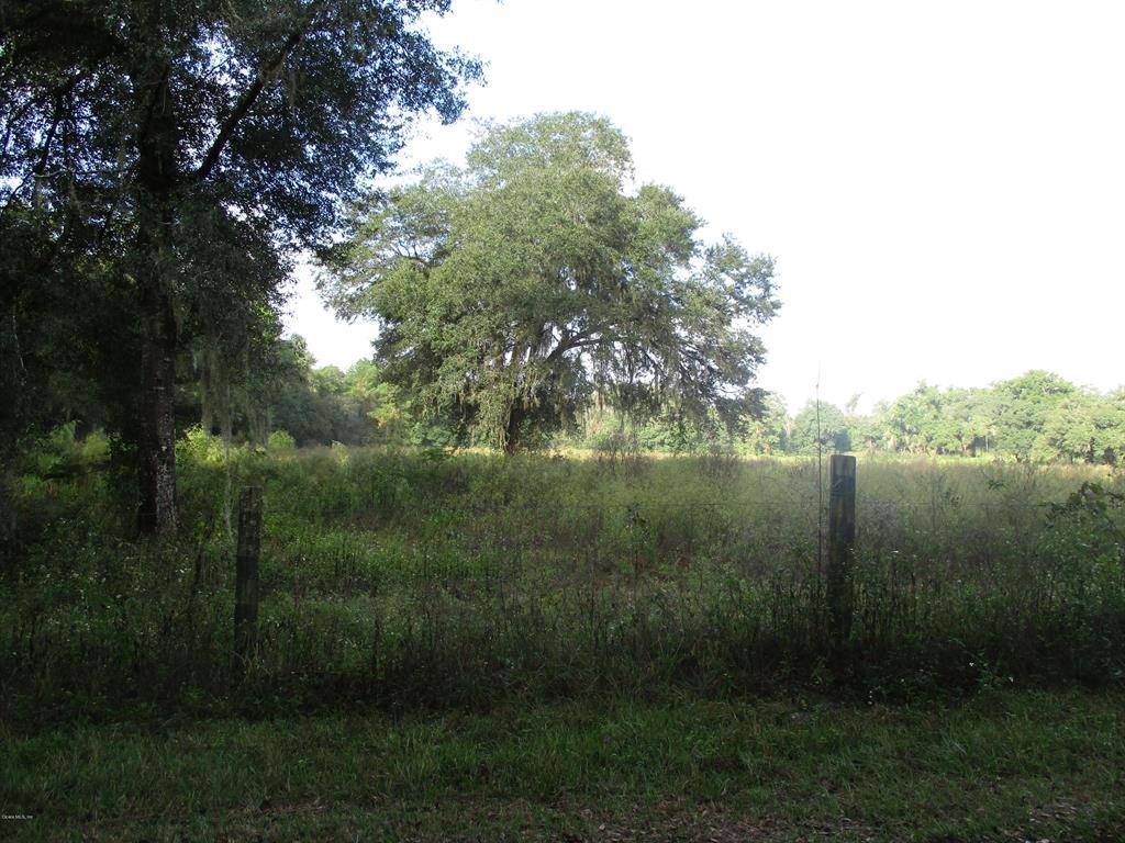 Williston, FL 32696,00 NE 35 ST