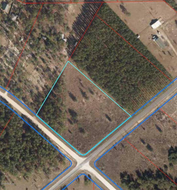 Morriston, FL 32668,000 SE 114th AVE