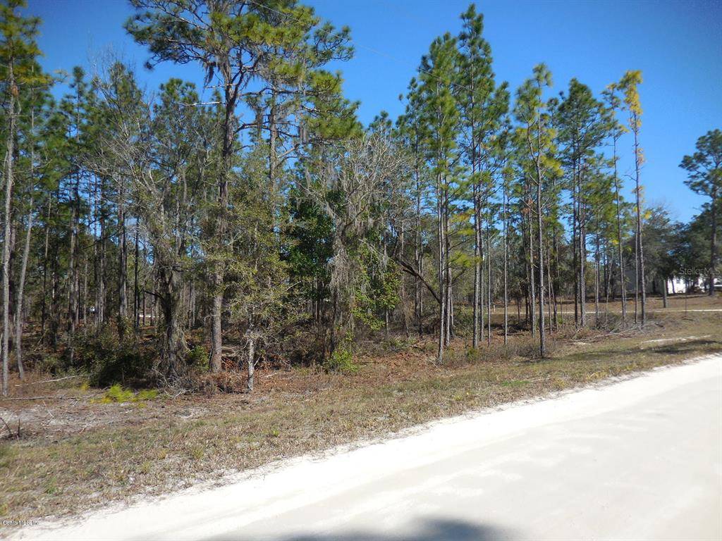 Archer, FL 32618,tbd NE 121st ST