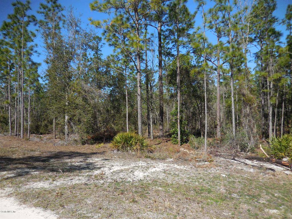 Archer, FL 32618,tbd NE 121st ST