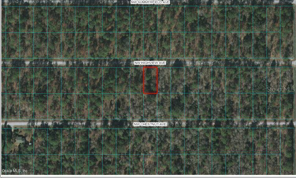 Dunnellon, FL 34431,0 NW Highview AVE