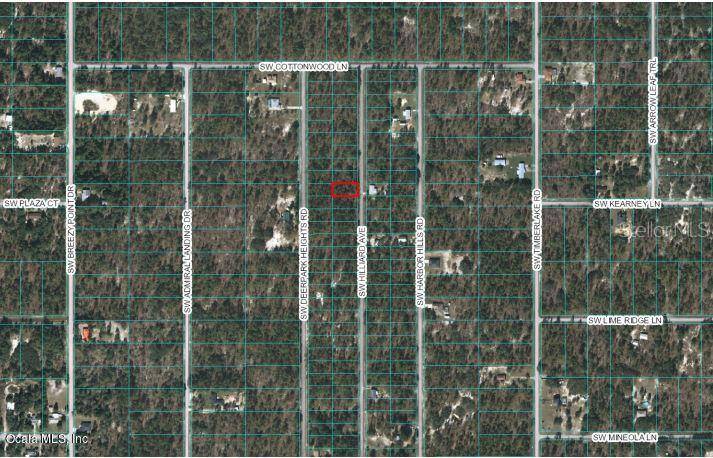 Dunnellon, FL 34431,0 SW Hilliard AVE