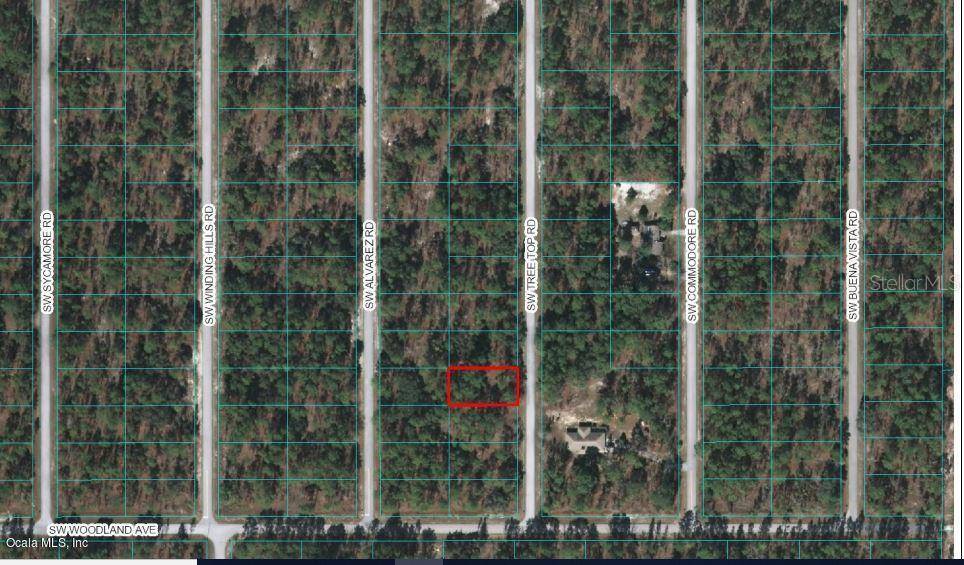 Dunnellon, FL 34431,0 SW Tree Top RD