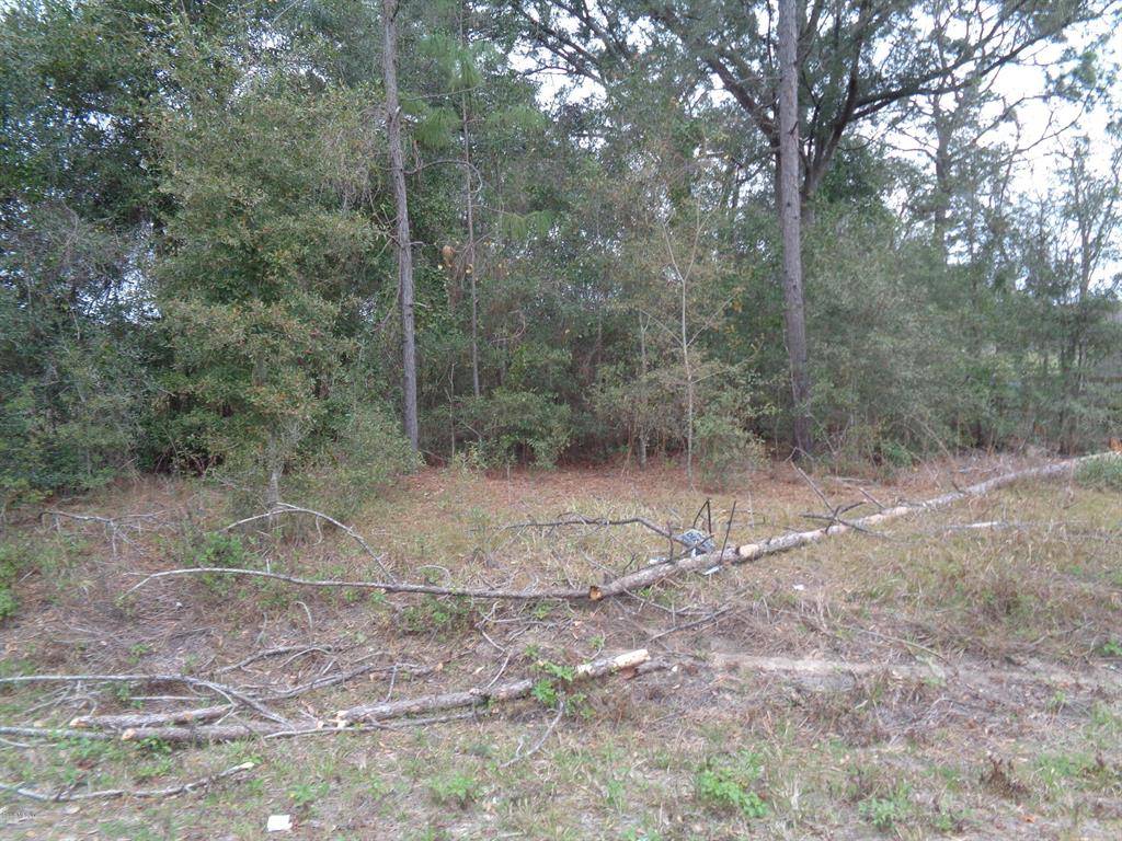 Summerfield, FL 34491,0 SE 157th LN