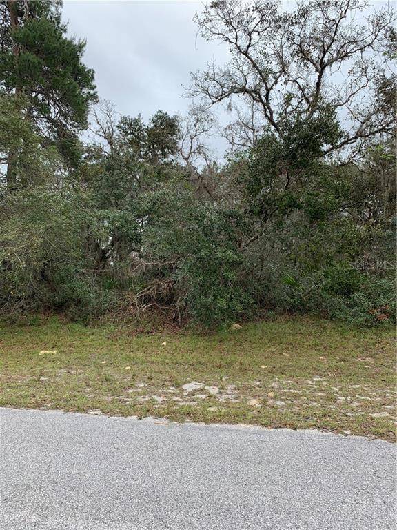 Ocala, FL 34473,0 SW 158 ST RD