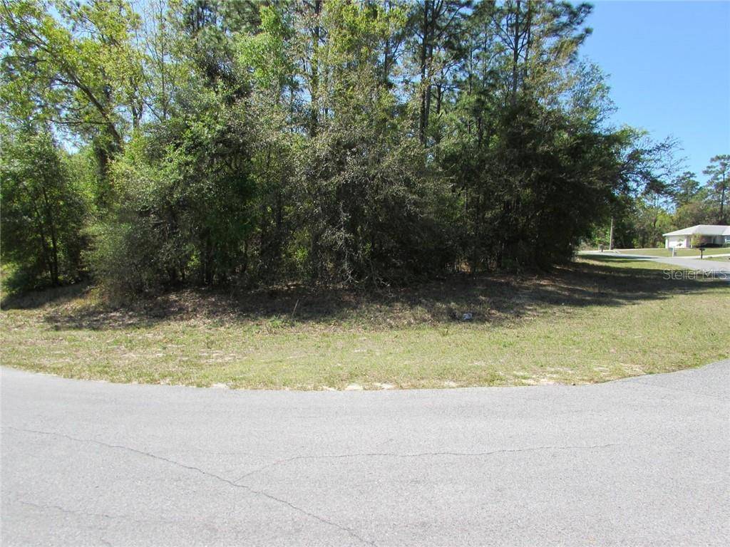 Dunnellon, FL 34432,0 SW 196 AVE