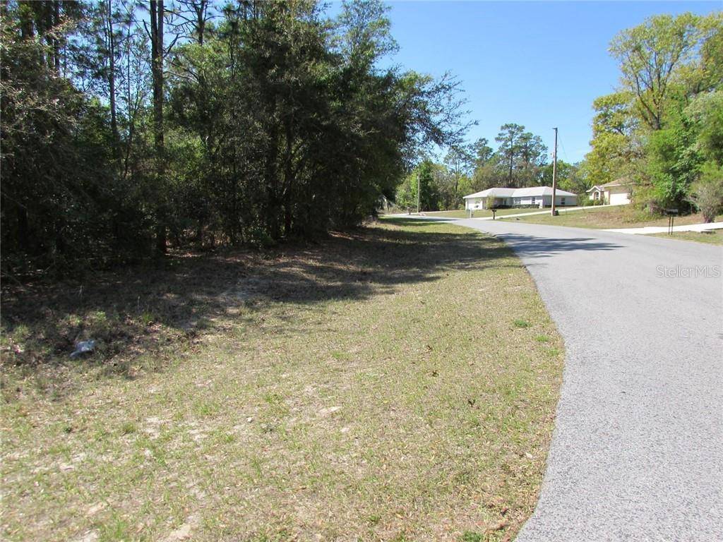 Dunnellon, FL 34432,0 SW 196 AVE