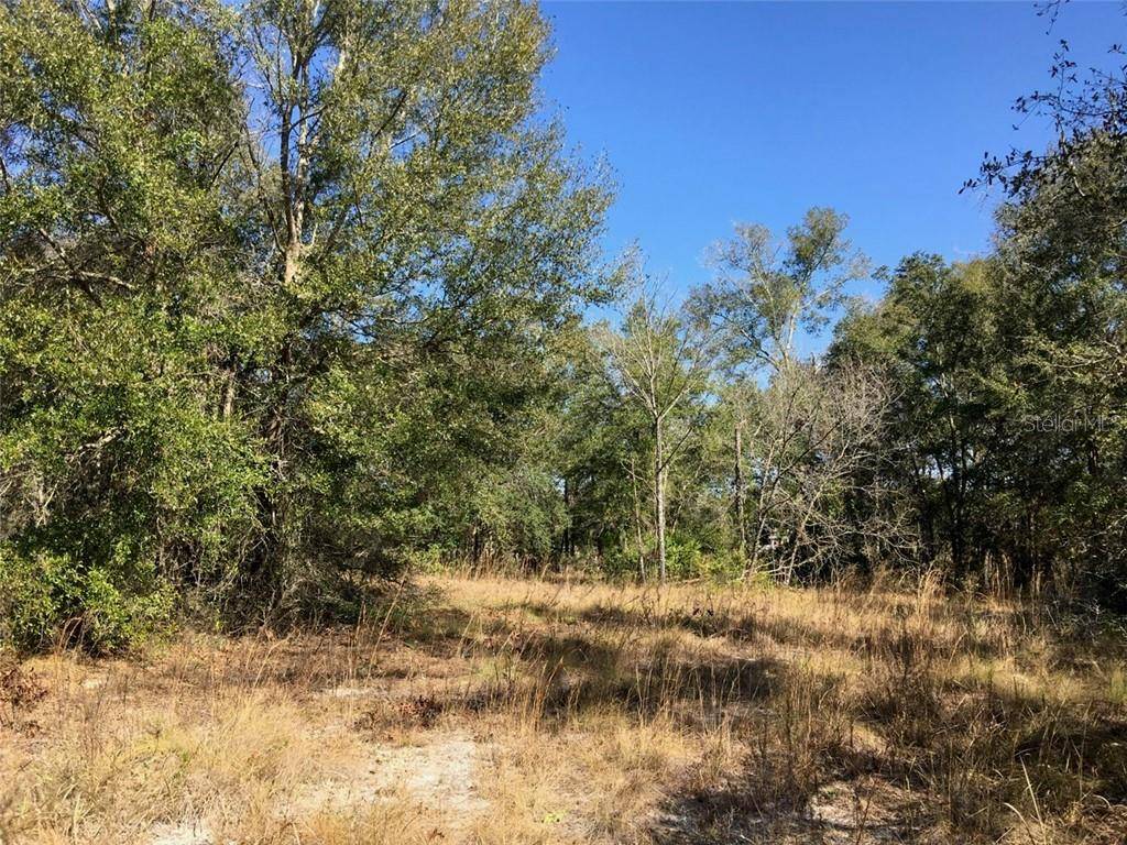 Williston, FL 32696,Lot E2 NE 68TH LN #W