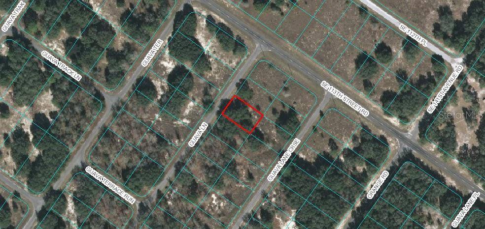 Ocklawaha, FL 32179,Lot 3 GUAVA LN