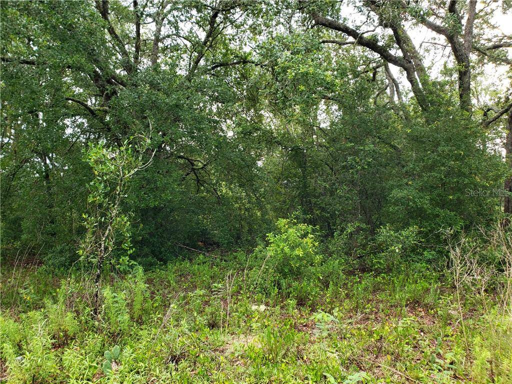 Ocklawaha, FL 32179,Lot 3 GUAVA LN