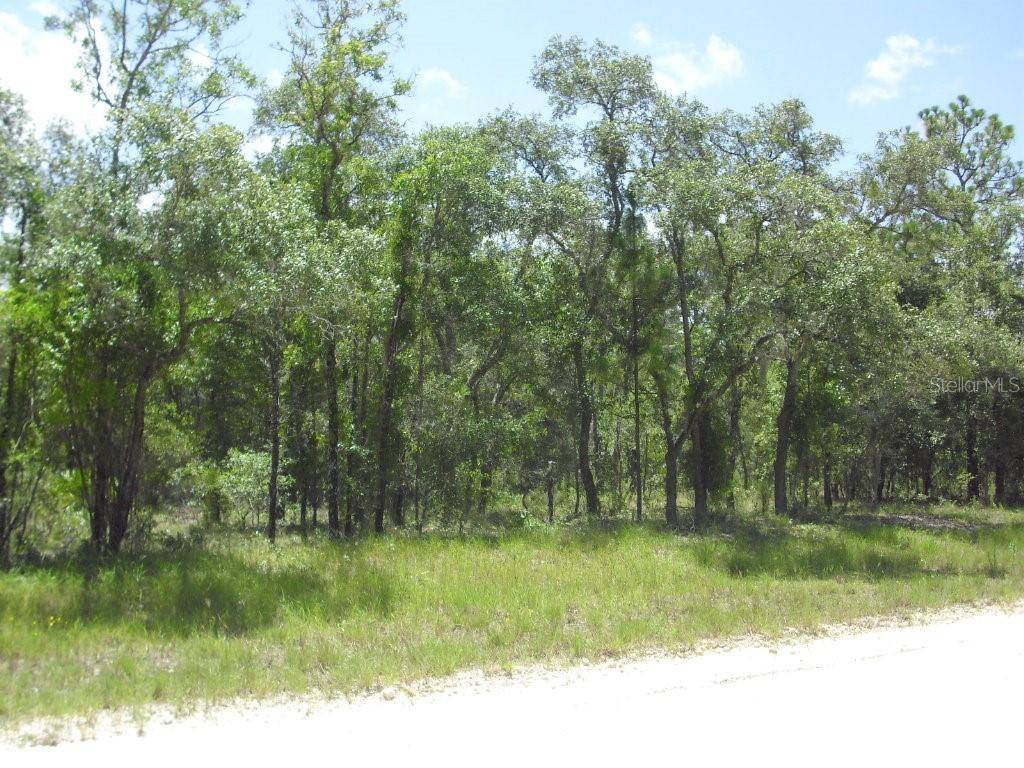 Morriston, FL 32668,Lot 1 SE 123 TER