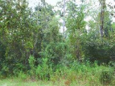 Dunnellon, FL 34432,10905 SW 157 LN