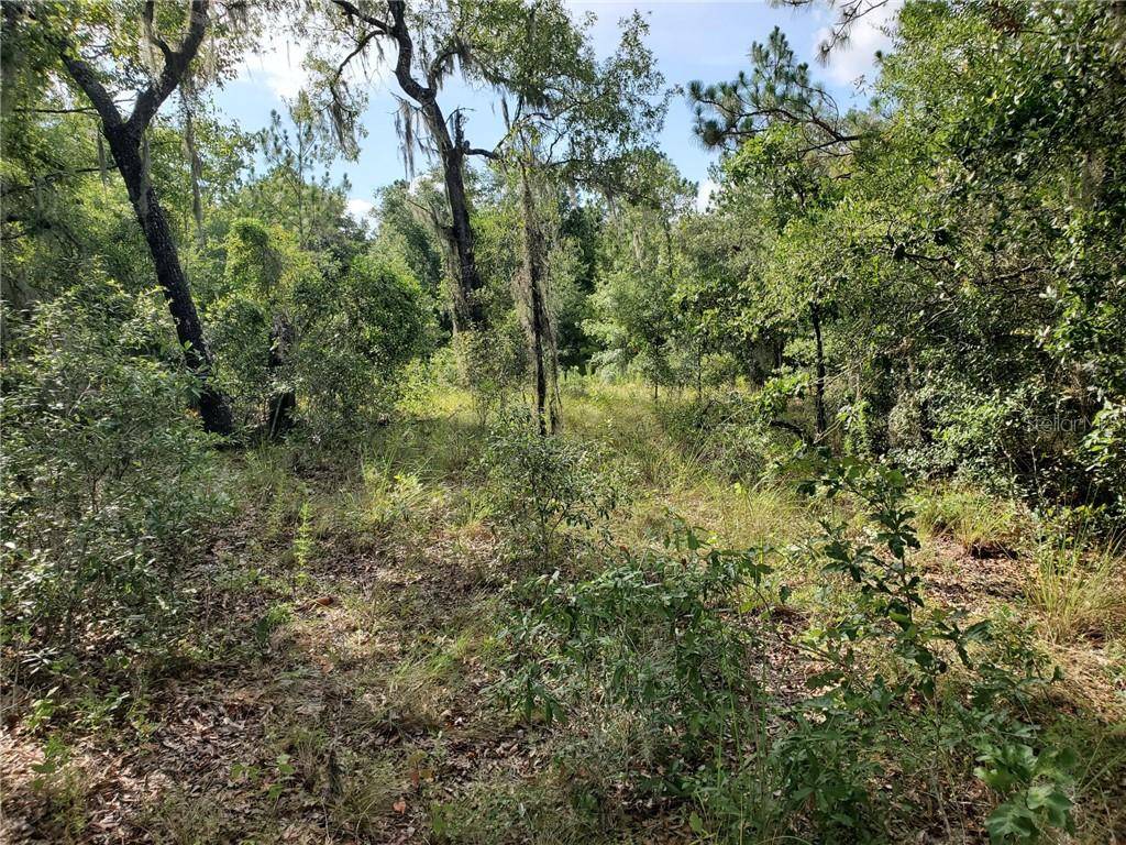 Williston, FL 32696,tbd E LEVY ST